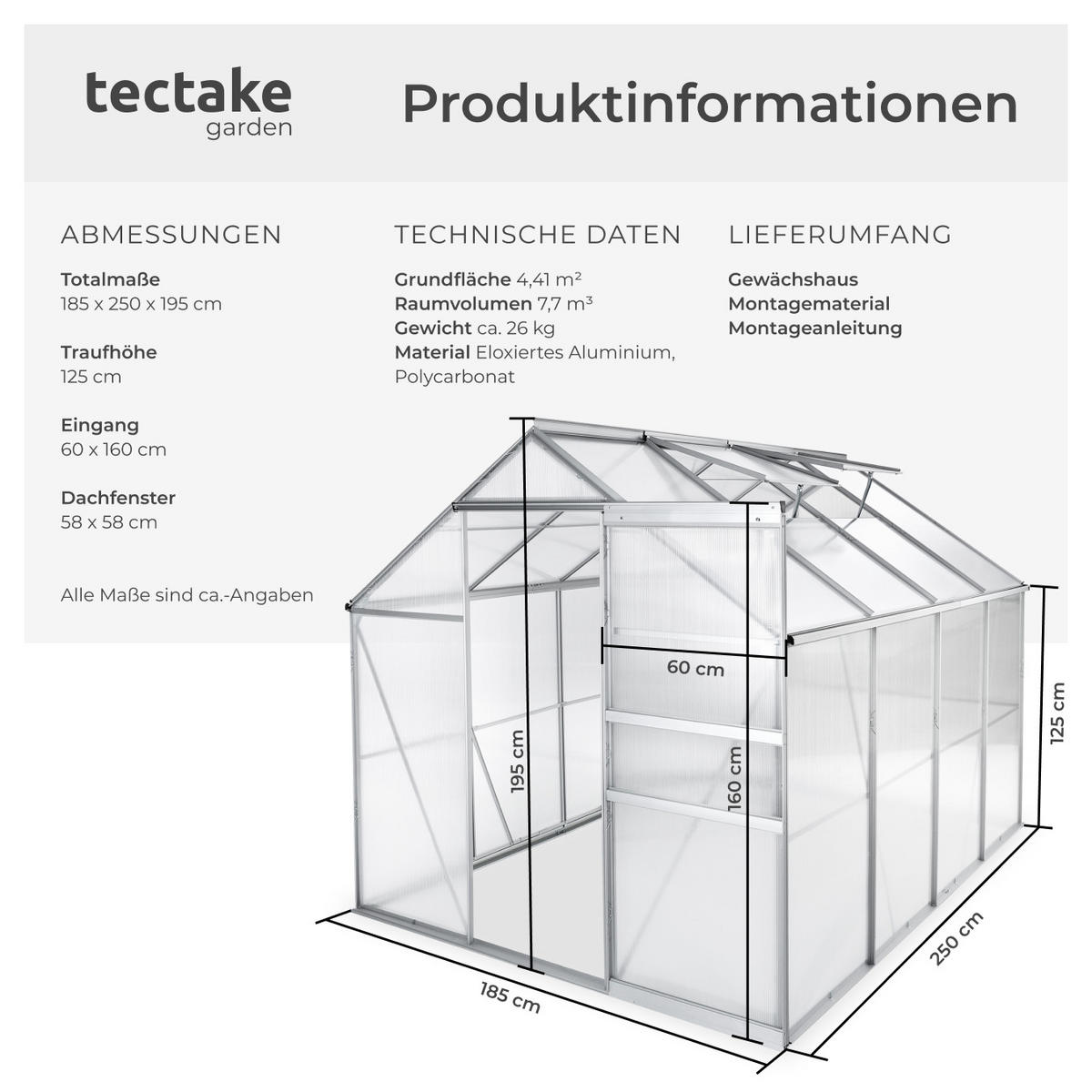 GEWÄCHSHAUS, 185 x 250 x 195 cm,transparent - Transparent, Metall (185/195/250cm) - tectake