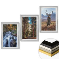 WANDBILDER 3er Set - 40x60 cm Silberner Rahmen - Wasserfall Wald Berge Hirsch Natur - Silberfarben, Kunststoff (40/60cm) - ArtPrintCave