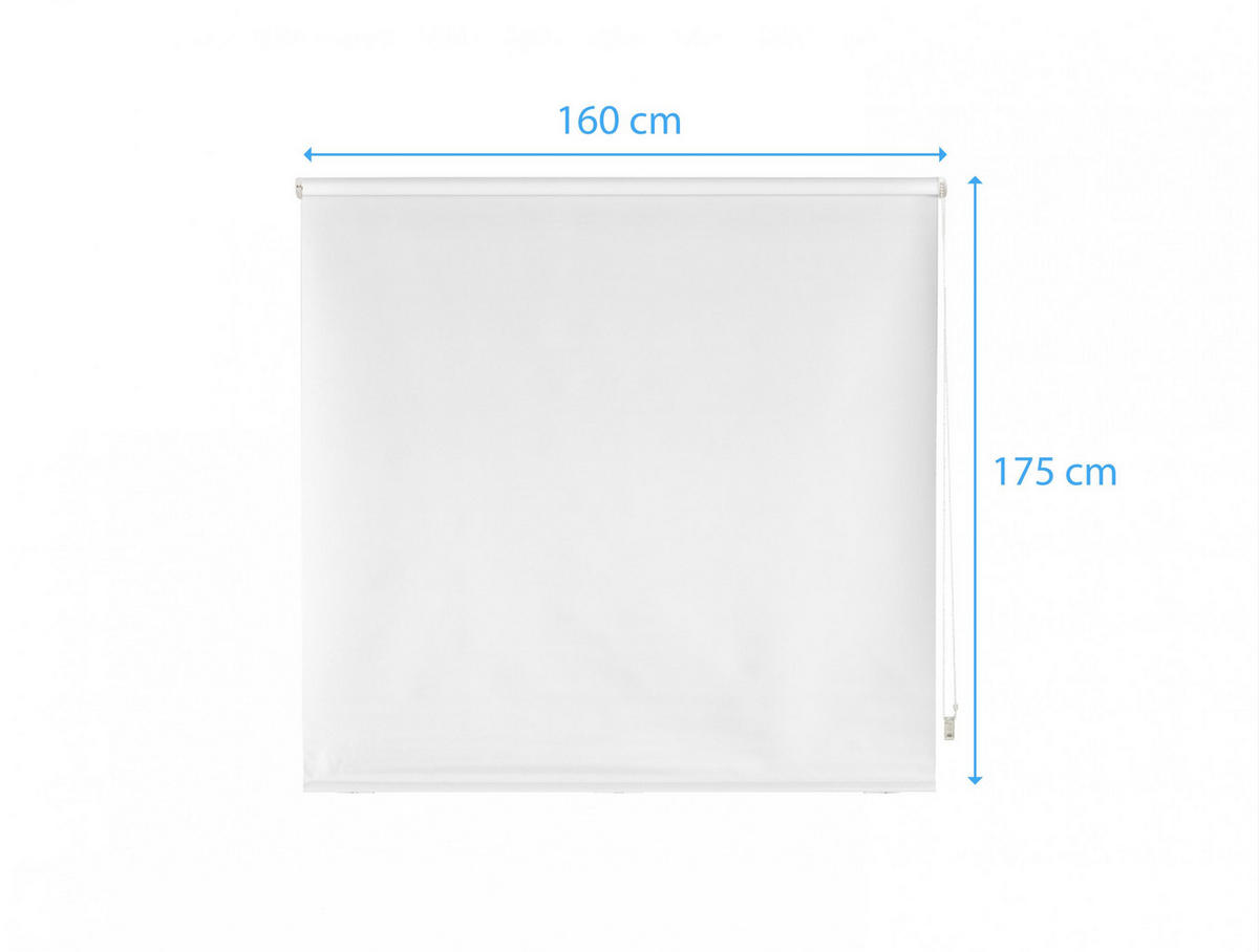ROLLO Polyester Transluzent Weiß 160x175 - Weiß, Textil (160/175/1cm) - Purline