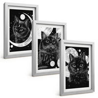 BILDER SET 3er Set - 20x30 cm Silberner Rahmen - Schwarze Katzen, Mond, Weltraum - Silberfarben, Kunststoff (20/30cm) - TULUP
