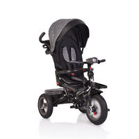 DREIRAD Jockey grau Gummireifen Musik Sitz drehbar Schubstange verstellbar - Grau, Metall (120/53.5/100cm)