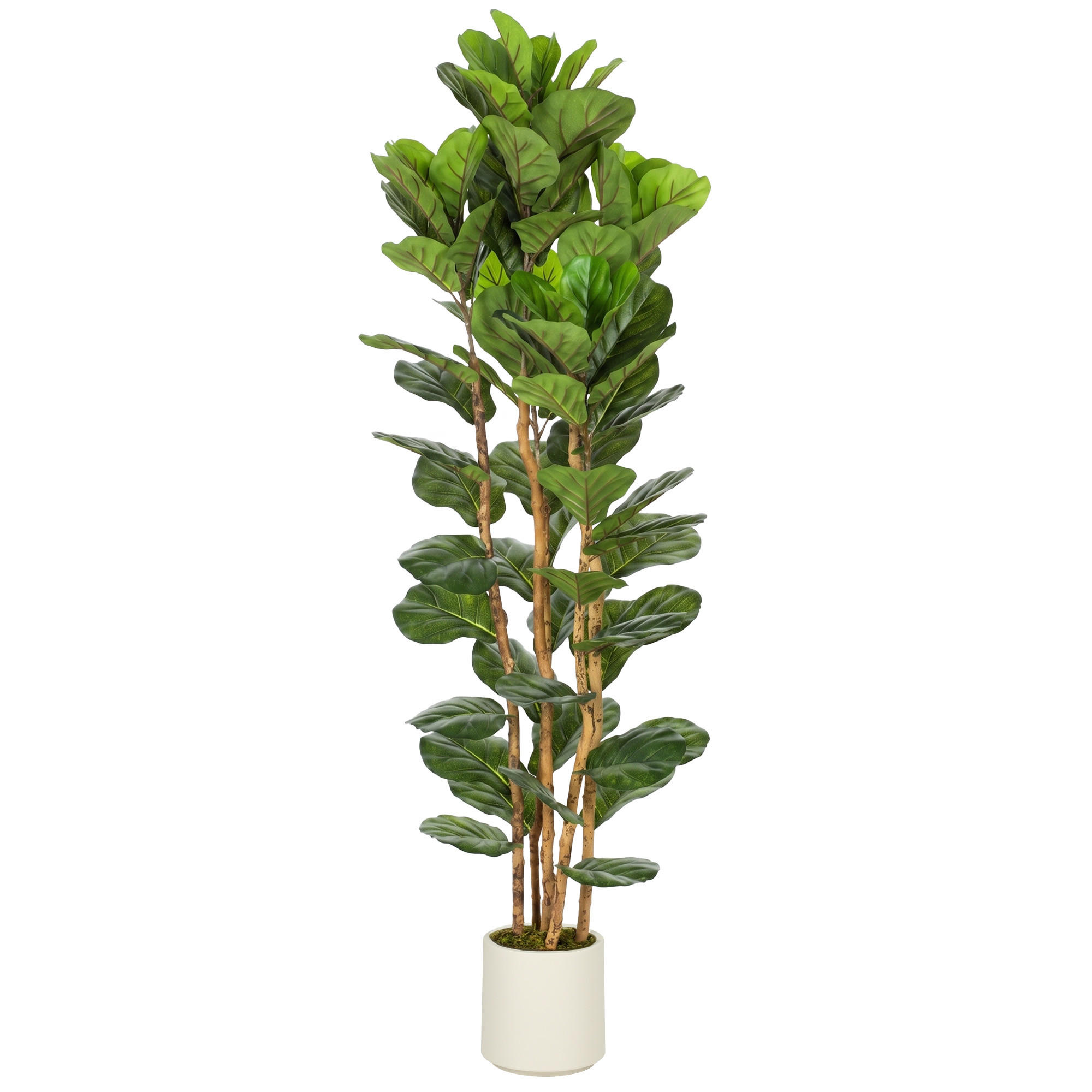 KÜNSTLICHE Pflanzen Grün 55.0/55.0/180.0cm - Grün, Kunststoff (180cm)