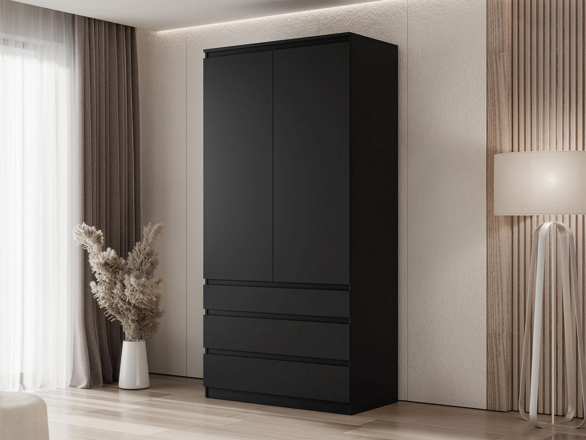 DREHTÜRENSCHRANK Malwa 2D3SZ - Schwarz, Holzwerkstoff (52/202/100cm) - MIRJAN24