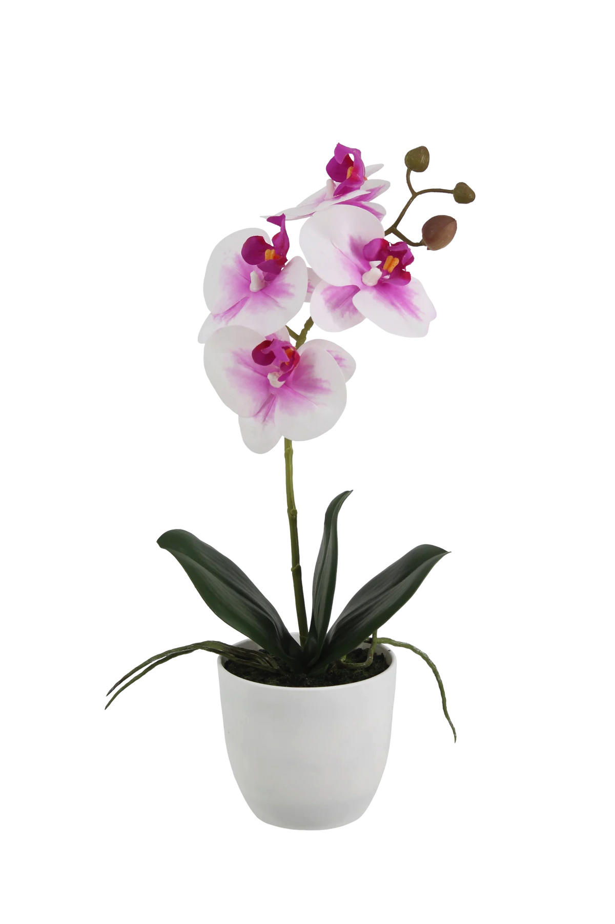 KÜNSTLICHE Orchidee - Dan 36 cm - Pink, Kunststoff (35cm) - aplanta