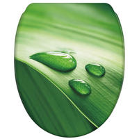 WC-SITZ mit Absenkautomatik Green Leaf - Grün, Holzwerkstoff (37.7/5.5/48cm) - Sanilo