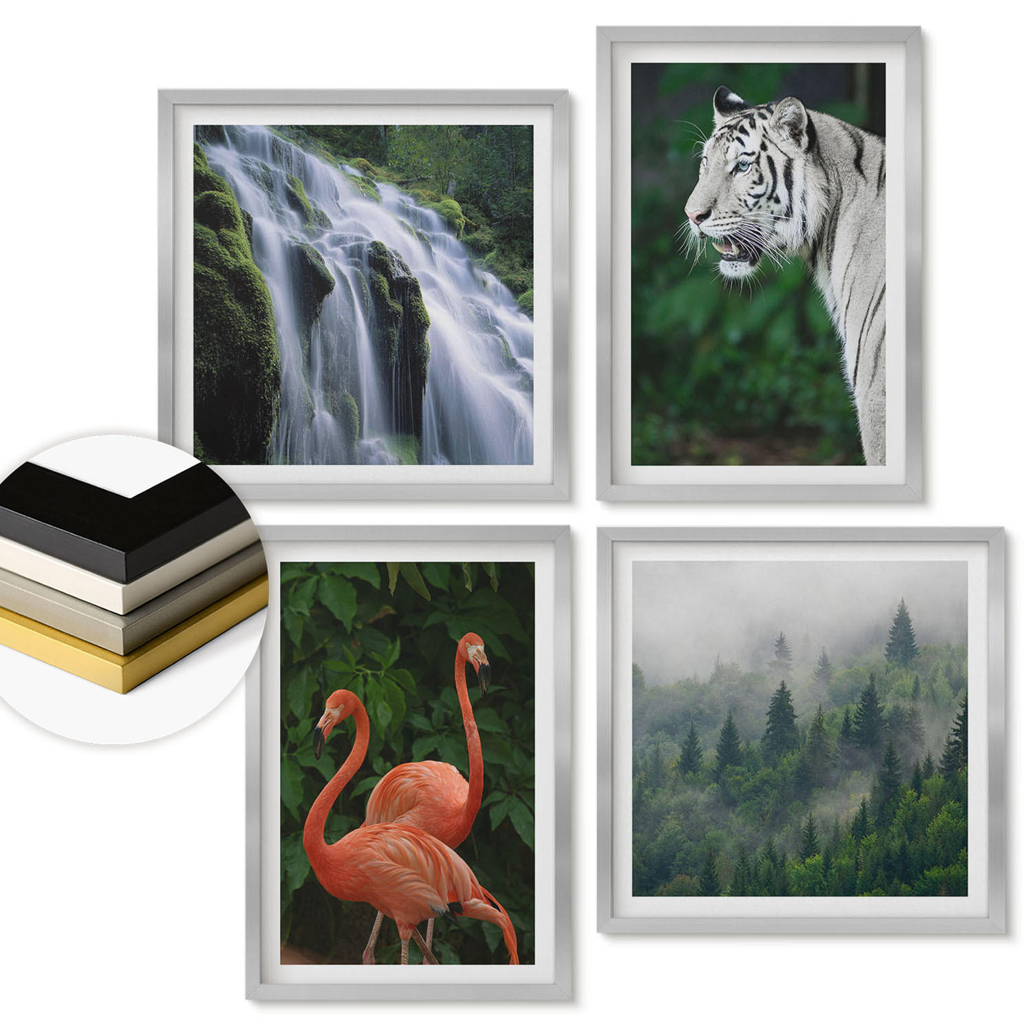 WANDBILDER 4er Set - 50x50 cm & 40x60 cm Silberner Rahmen - Tiger Wasserfall Flamingos Natur - Silberfarben, Kunststoff (50/50cm) - ArtPrintCave
