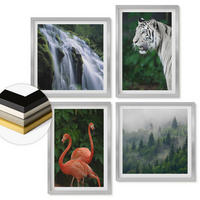 WANDBILDER 4er Set - 50x50 cm & 40x60 cm Silberner Rahmen - Tiger Wasserfall Flamingos Natur - Silberfarben, Kunststoff (50/50cm) - ArtPrintCave