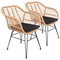 SESSEL Cinta Braun 2er-Set - Braun, Kunststoff (56/84/60cm) - Happy Garden