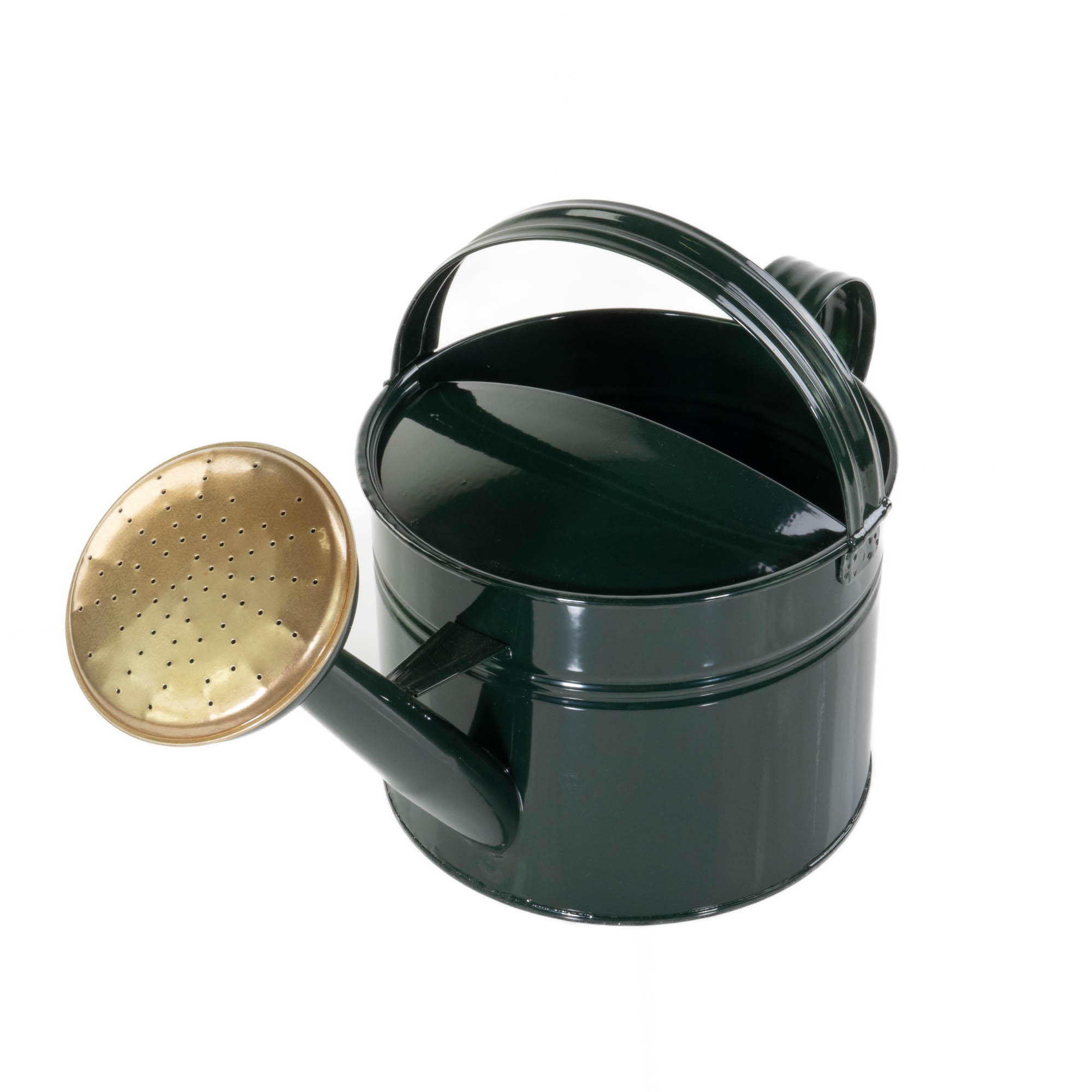 GIESSKANNE Gisela 5 l - Grün, Metall (20/26/46cm)