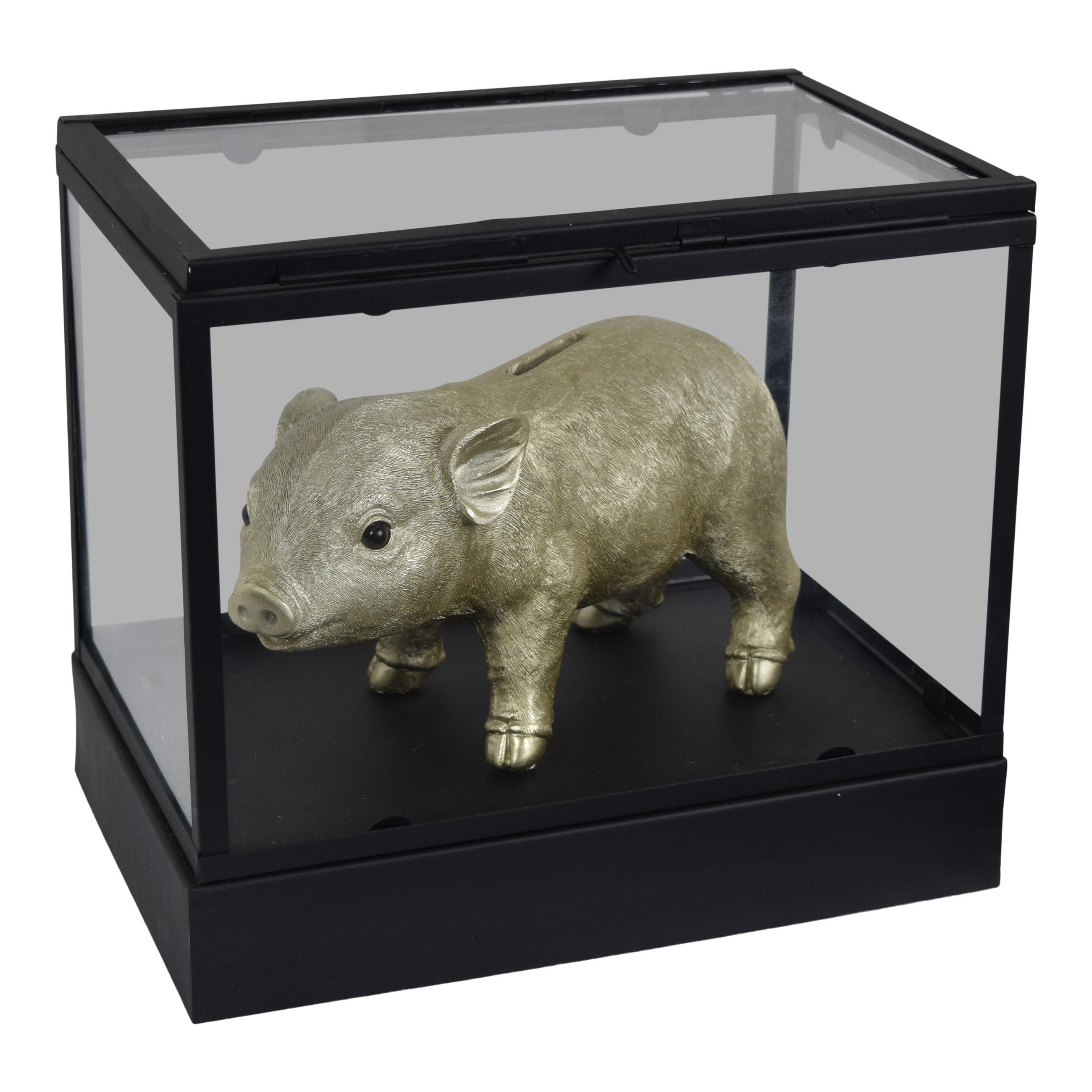 DISPLAYBOX Vitrine Schwarz - Schwarz, Metall (30/27/20cm) - LOFT42