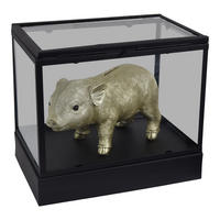 DISPLAYBOX Vitrine Schwarz - Schwarz, Metall (30/27/20cm) - LOFT42