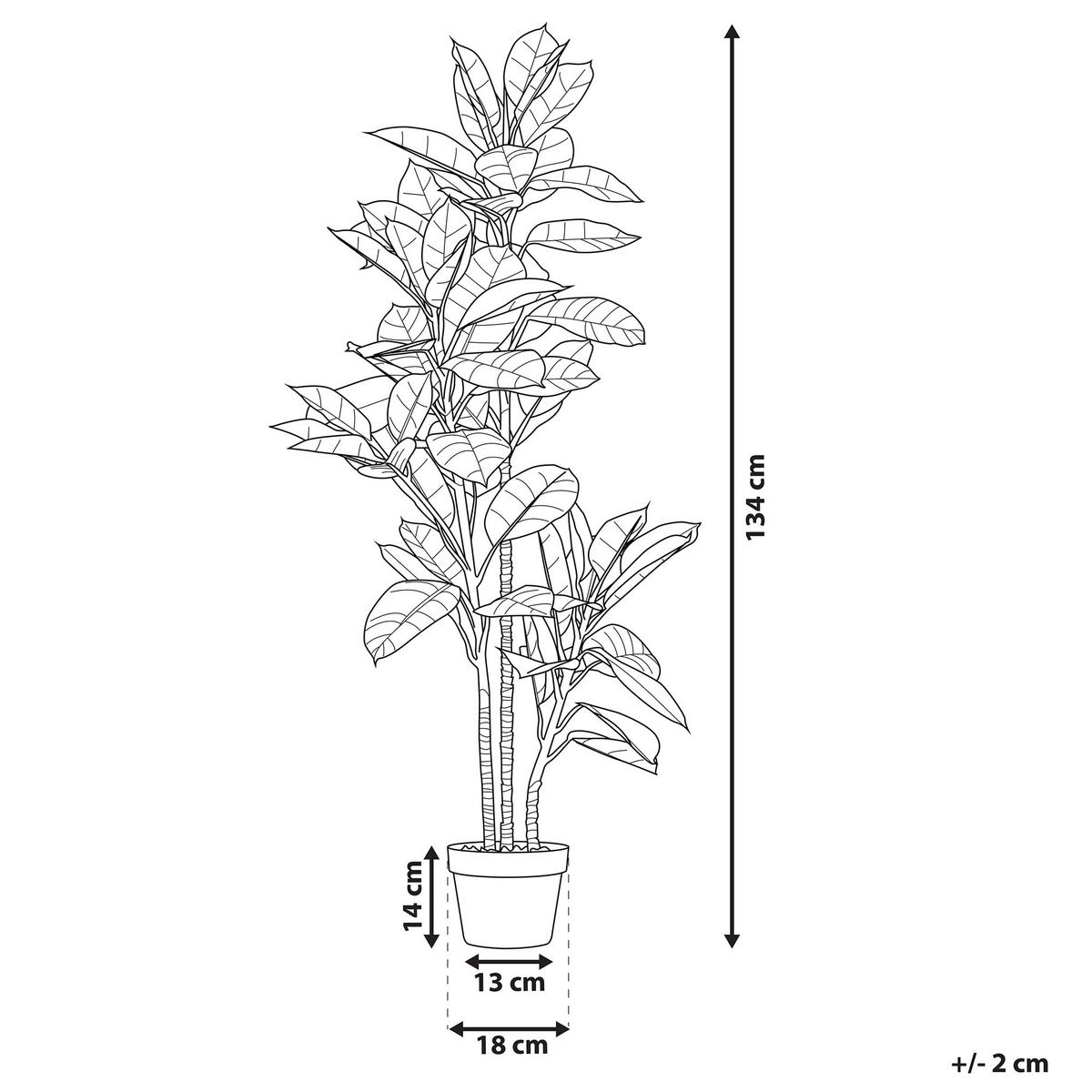 KUNSTPFLANZE Grün Ficus Elastica - Schwarz/Grün, Kunststoff (134cm) - Beliani