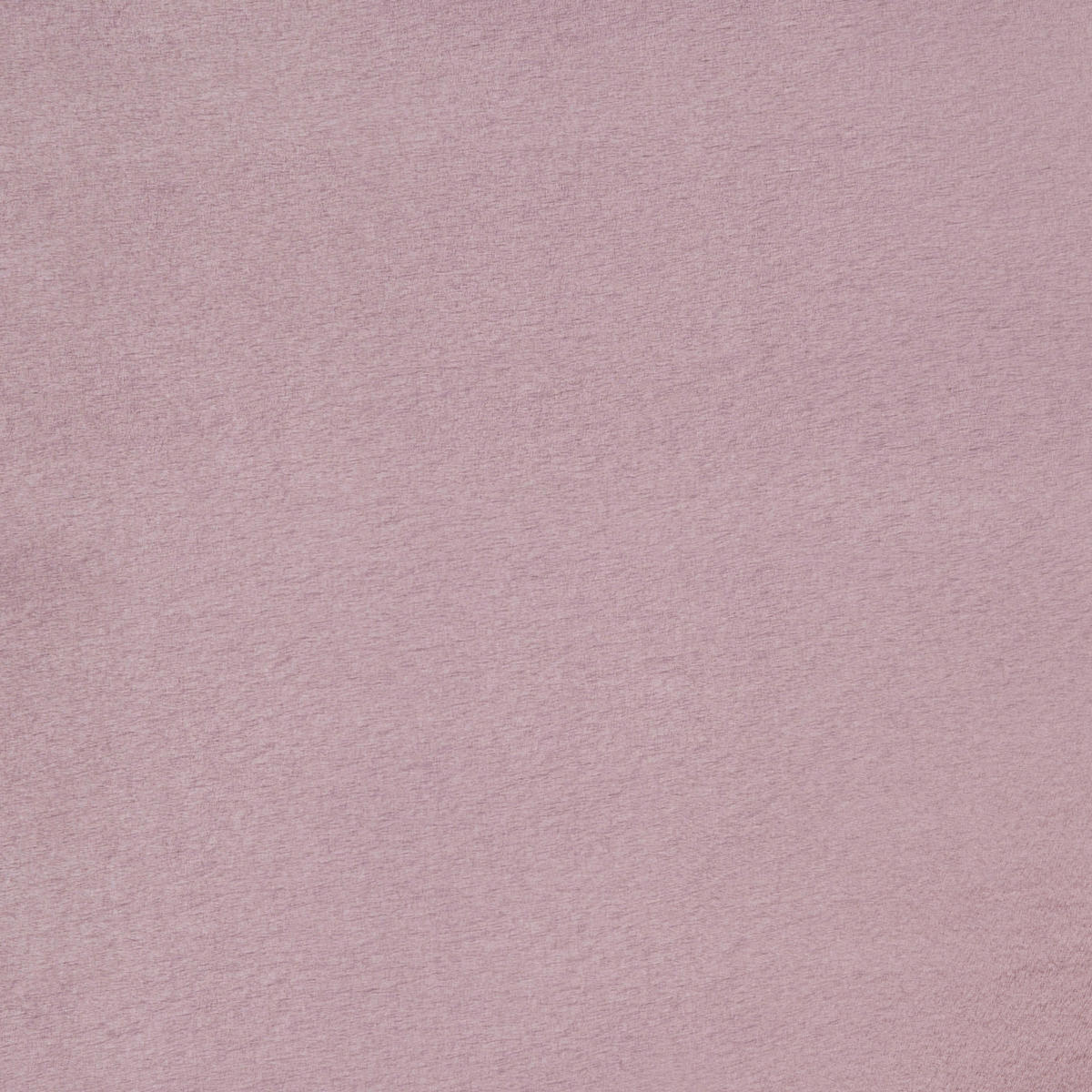 TEPPICH Hellviolett 160/230 cm Tangra - Violett, Kunststoff (160/230cm) - Beliani