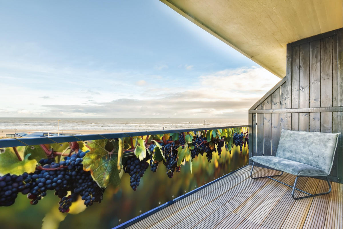 BALKON-SICHTSCHUTZ Trauben - Wein - Natur - Grün - Weinrot, Kunststoff (500/110cm) - MuchoWow