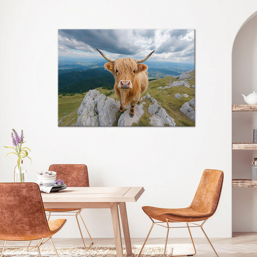 WANDBILD schottische highland cow rock mountains - Braun, Textil (60/40cm) - Feeby