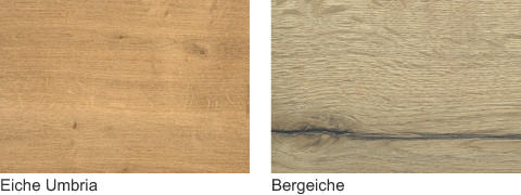 Eiche Umbria | Bergeiche