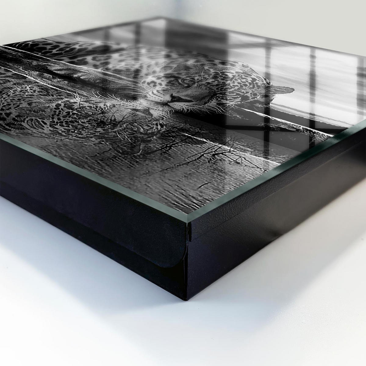 SCHLÜSSELBOX Schwarz 30x30 cm- Türöffnung nach rechts - Jaguare im Wasser - Multicolor, Metall (30/30/5cm) - TULUP