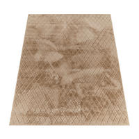 HOCHFLORTEPPICH 200/280 cm Arnheim 742 - Beige, Textil (200/280cm) - Paco Home