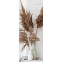 GLASBILD 30x80 cm Stillleben beige weiß - Beige, Glas (30/80cm) - artissimo