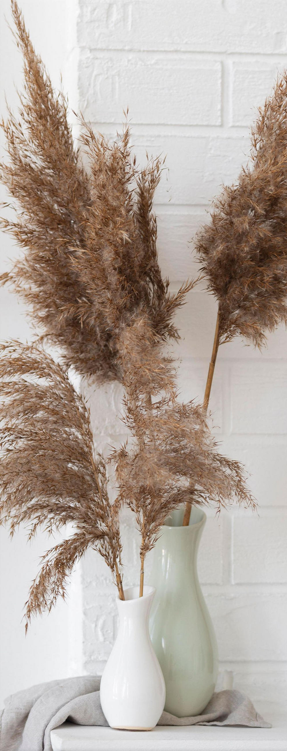 GLASBILD 30x80 cm Stillleben beige weiß - Beige, Glas (30/80cm) - artissimo