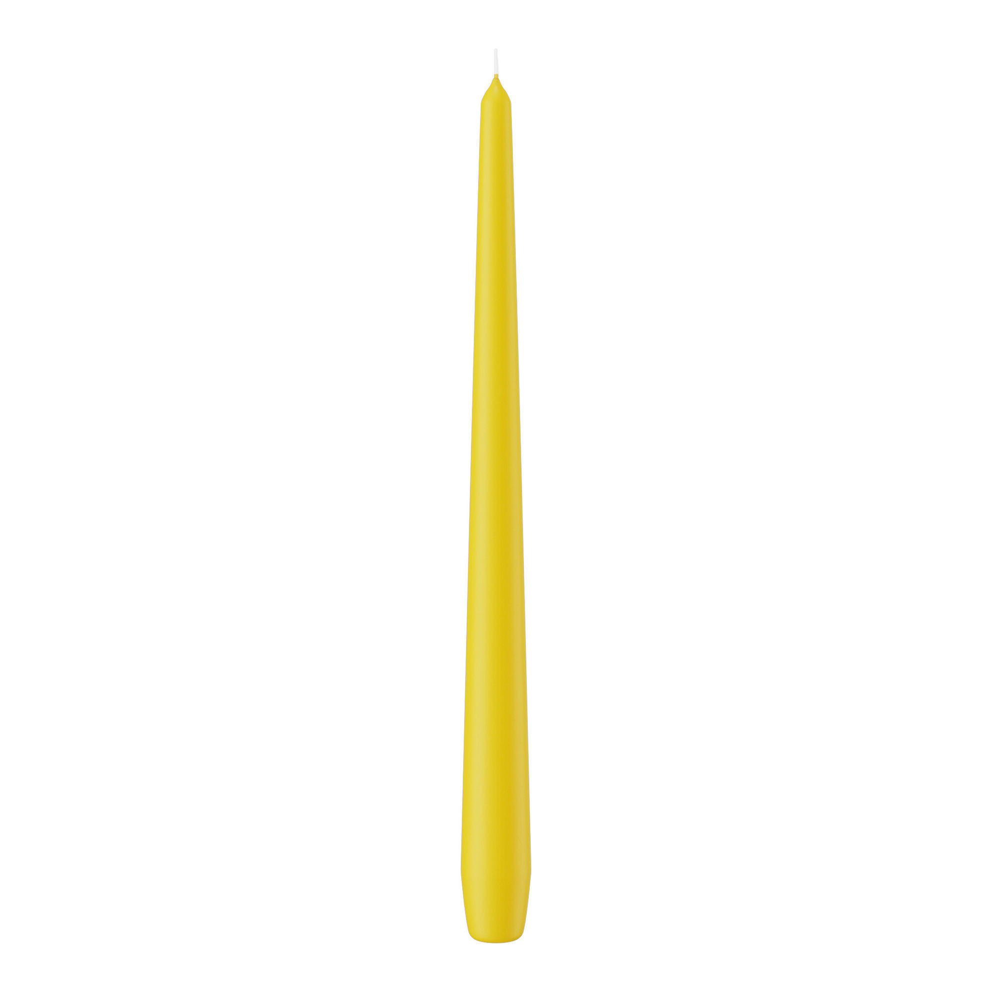 SPITZKERZEN Dotter Gelb 300 x Ø 25 mm, 12 Stück - Gelb, Paraffin (2.5/30/30cm) - Wiedemann Kerzen