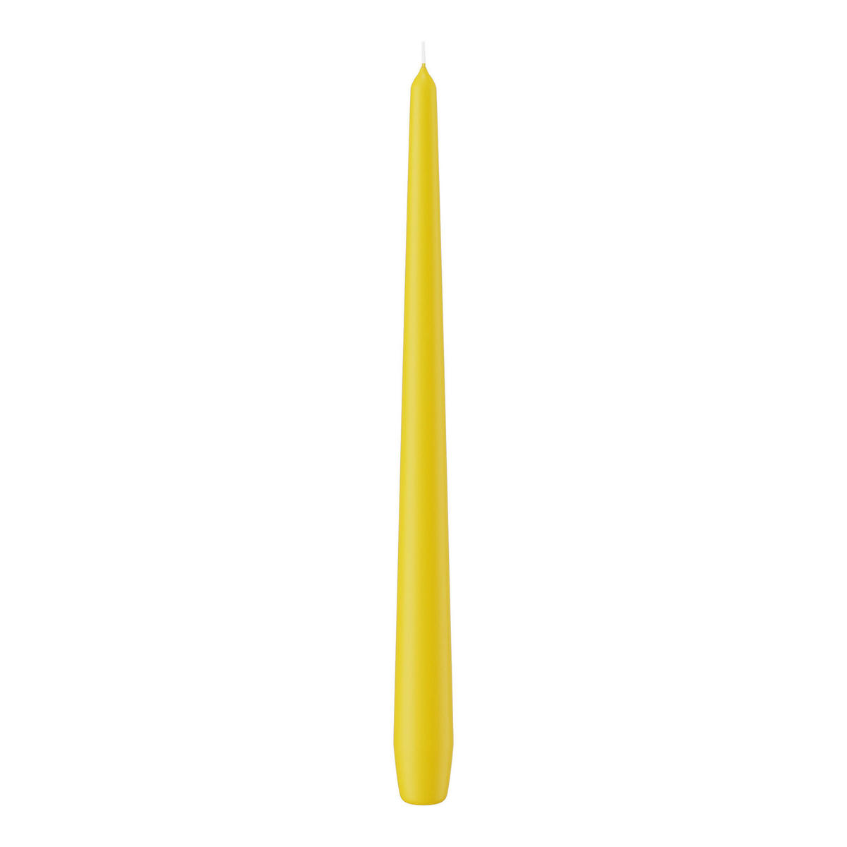 SPITZKERZEN Dotter Gelb 300 x Ø 25 mm, 12 Stück - Gelb, Paraffin (2.5/30/30cm) - Wiedemann Kerzen