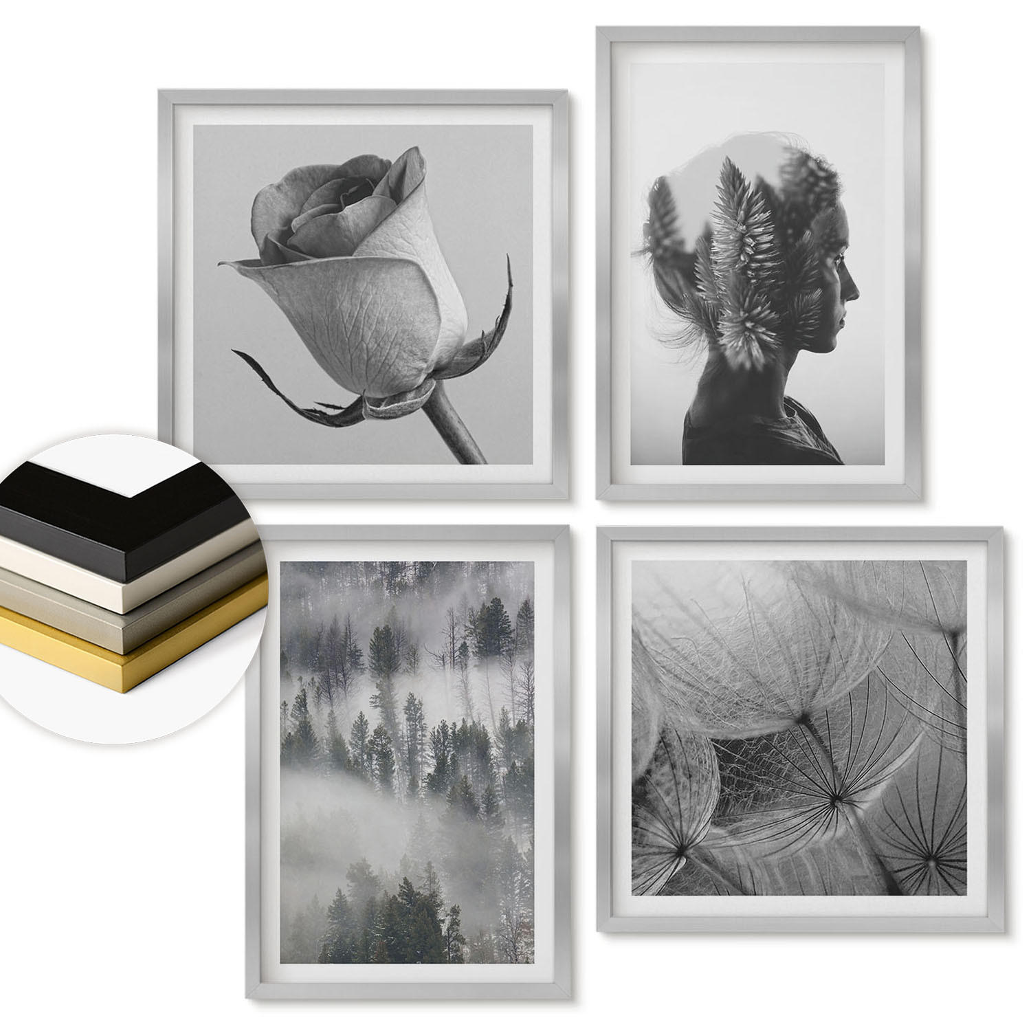 WANDBILDER 4er Set - 50x50 cm & 40x60 cm Silberner Rahmen - Waldnebelporträt einer Frau - Silberfarben, Kunststoff (50/50cm) - ArtPrintCave