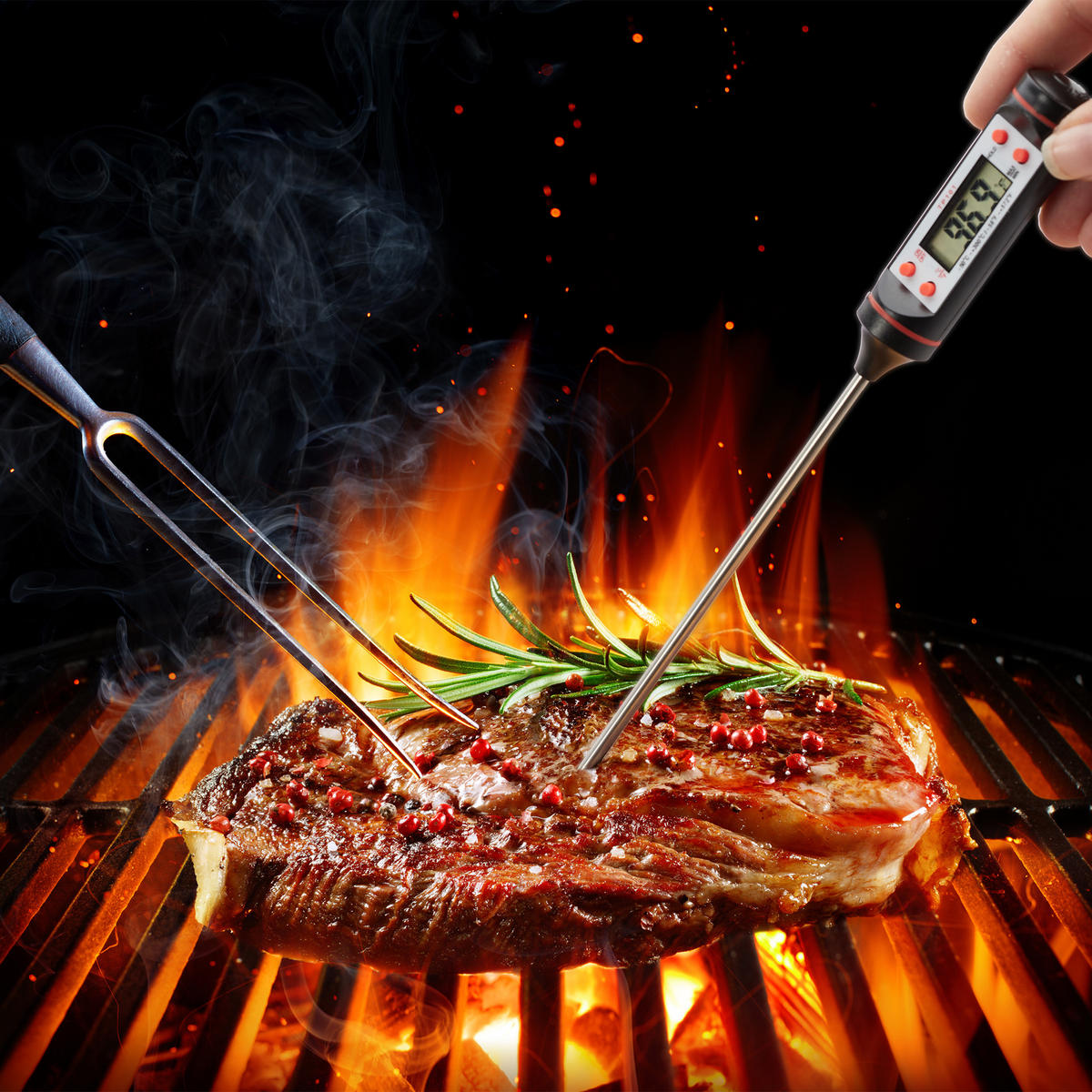 KÜCHENTHERMOMETER digital - Silberfarben, Kunststoff/Metall - Relaxdays