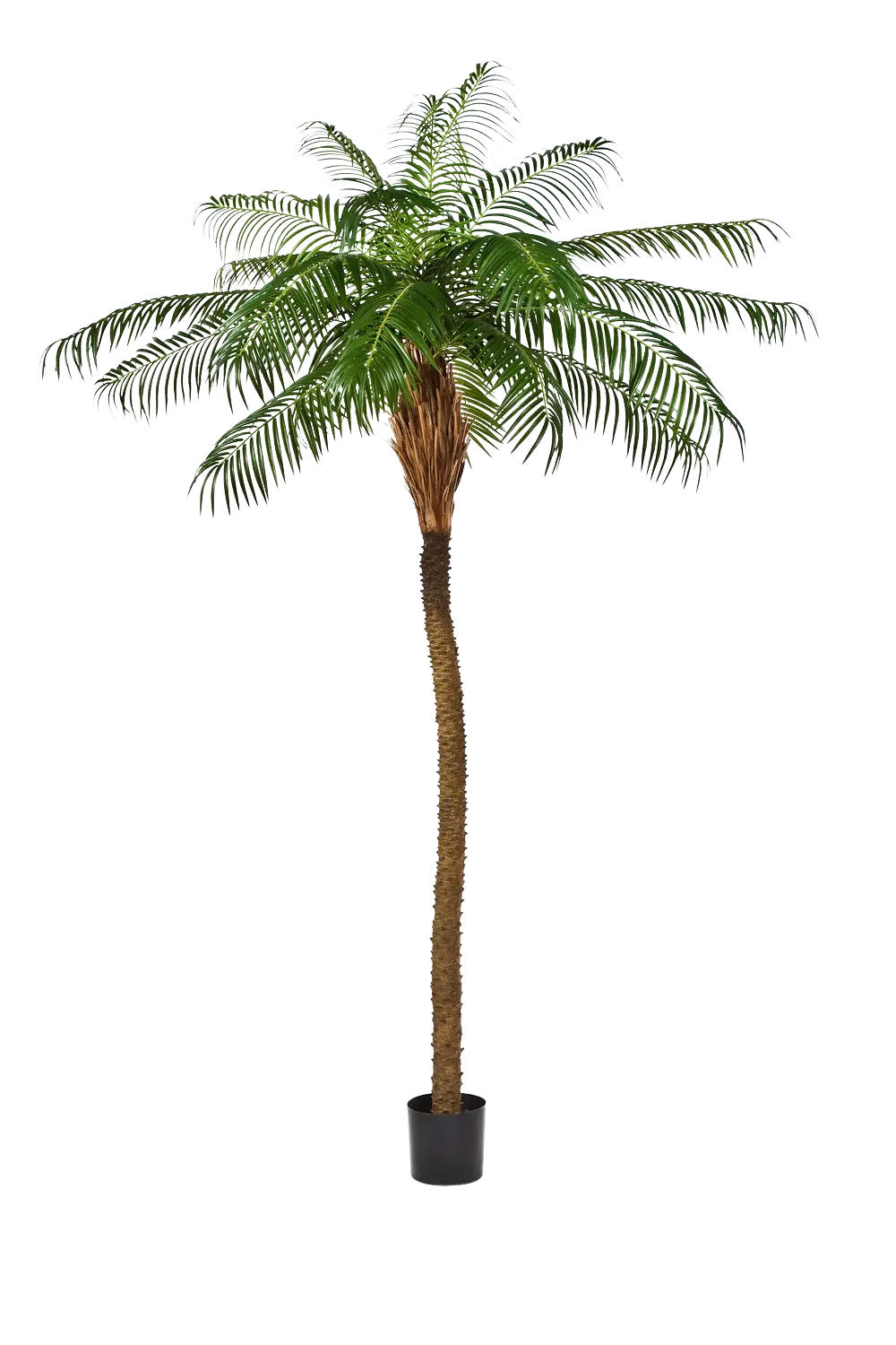 KUNSTBAUM Künstliche Dattelpalme - Kaan 280 cm - Grün, Kunststoff (280cm) - aplanta