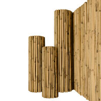 SICHTSCHUTZZAUN SolVision B38 150/250 cm Bambus - Naturfarben, Kunststoff (250/150cm) - Sol Royal