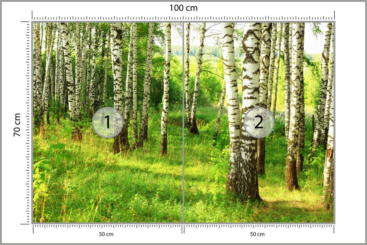 FOTOTAPETE für Esszimmer Birkenwald Bäume Natur 3D 100x70 - Schwarz/Braun, Papier (100/70cm) - Muralo