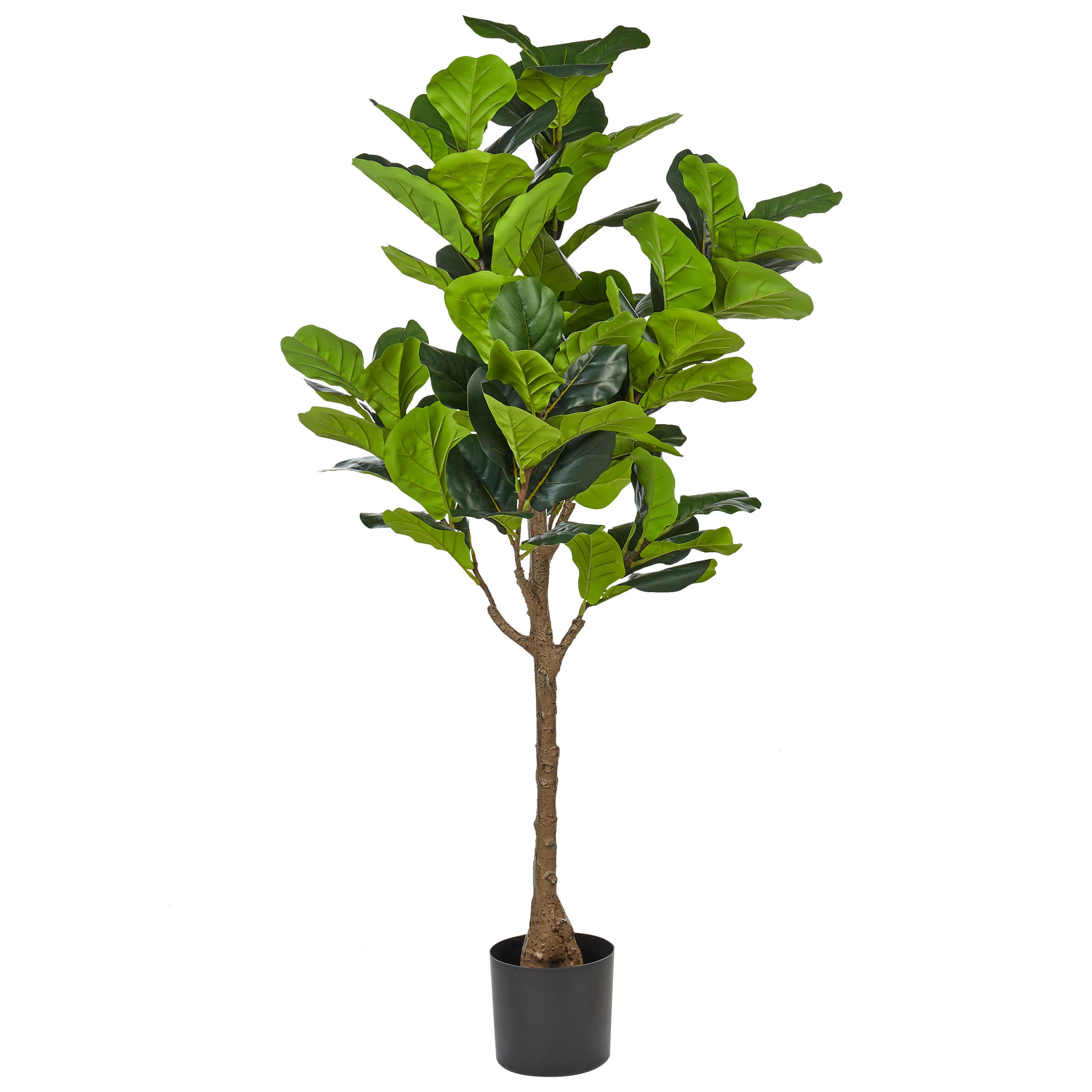 KUNSTPFLANZE im Blumentopf 162 cm Grün/Schwarz Fig Tree - Schwarz/Grün, Kunststoff (162cm) - Beliani