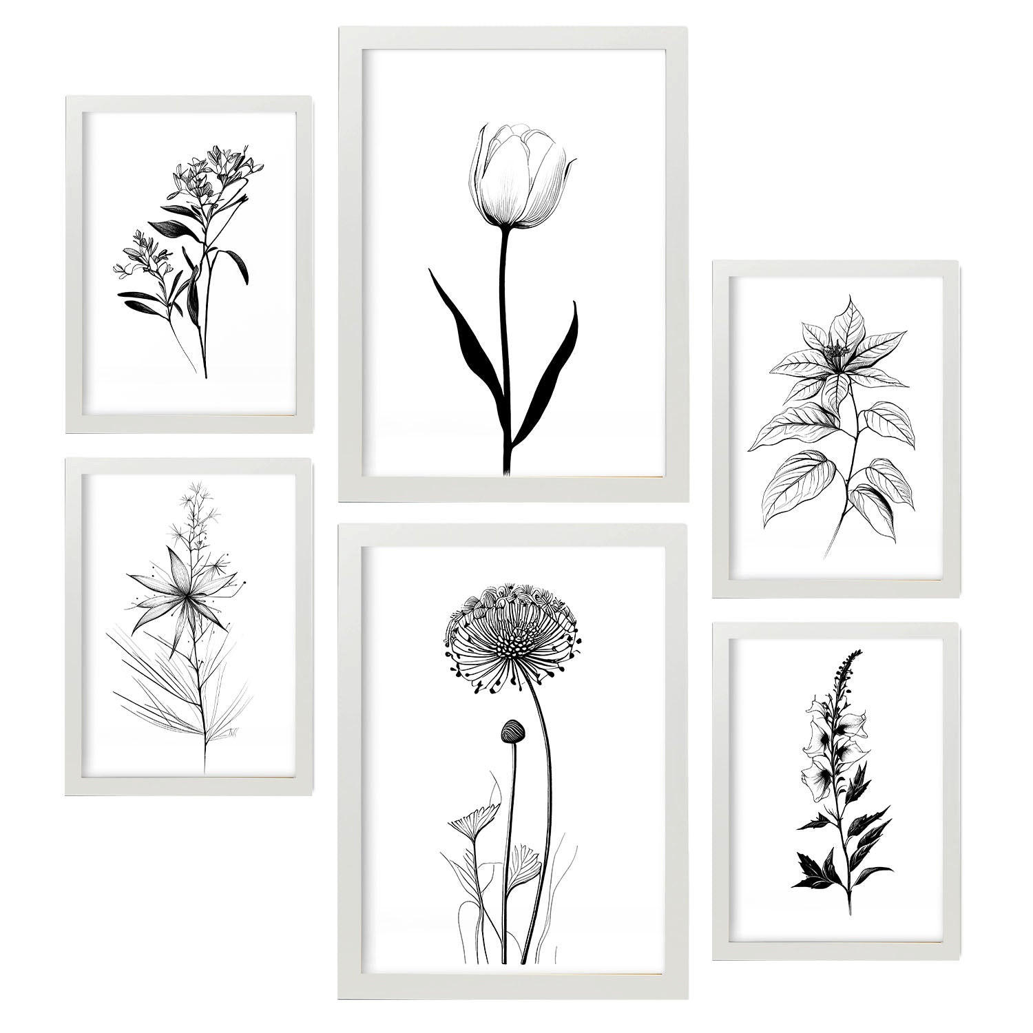 POSTER Set Mit 6 Kleine Blumen Natur Und Botanikdrucke Mit Blumenmotiven In Klassischem Schwarz Und Weiß Innenarchitektur A3 & A4 Weißer Rahmen - Weiß, Papier (29/3cm) - Nacnic