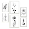 POSTER Set Mit 6 Kleine Blumen Natur Und Botanikdrucke Mit Blumenmotiven In Klassischem Schwarz Und Weiß Innenarchitektur A3 & A4 Weißer Rahmen - Weiß, Papier (29/3cm) - Nacnic
