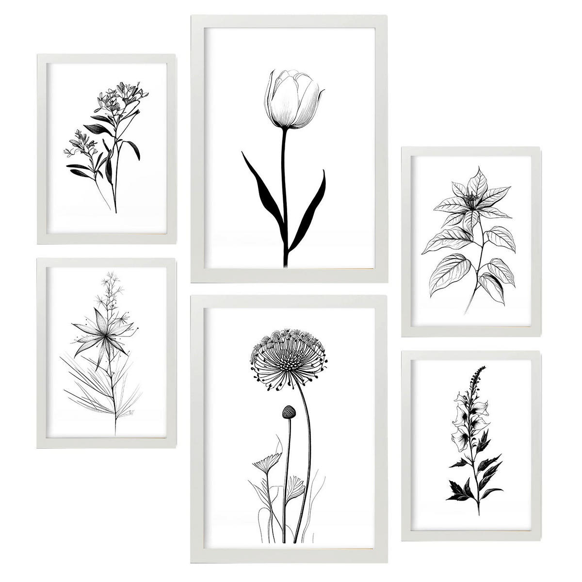 POSTER Set Mit 6 Kleine Blumen Natur Und Botanikdrucke Mit Blumenmotiven In Klassischem Schwarz Und Weiß Innenarchitektur A3 & A4 Weißer Rahmen - Weiß, Papier (29/3cm) - Nacnic