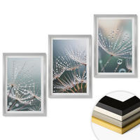 WANDBILDER 3er Set - 40x60 cm Silberner Rahmen - Wassertropfen auf Löwenzahnsprossen - Silberfarben, Kunststoff (40/60cm) - ArtPrintCave