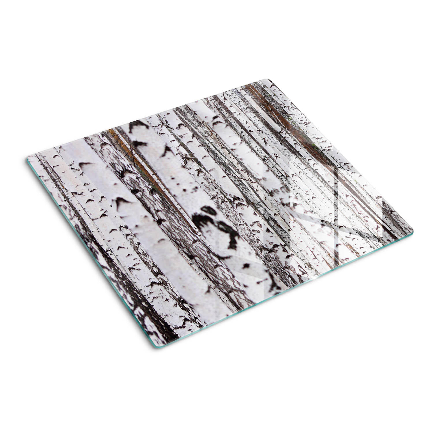 GLASPLATTE 60x52 cm Birke - Weiß, Glas (60/0.4/52cm) - TULUP