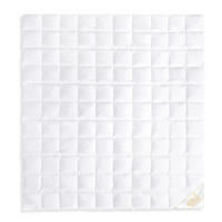 SOMMERBETTDECKE MARIE Entendaunen leicht - Weiß, Naturmaterialien/Textil (200/220cm) - Goldmarie 