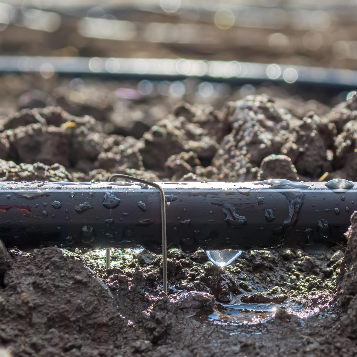 50XBODENANKER - Anthrazit, Metall (2.5/15/0.2cm) - Relaxdays