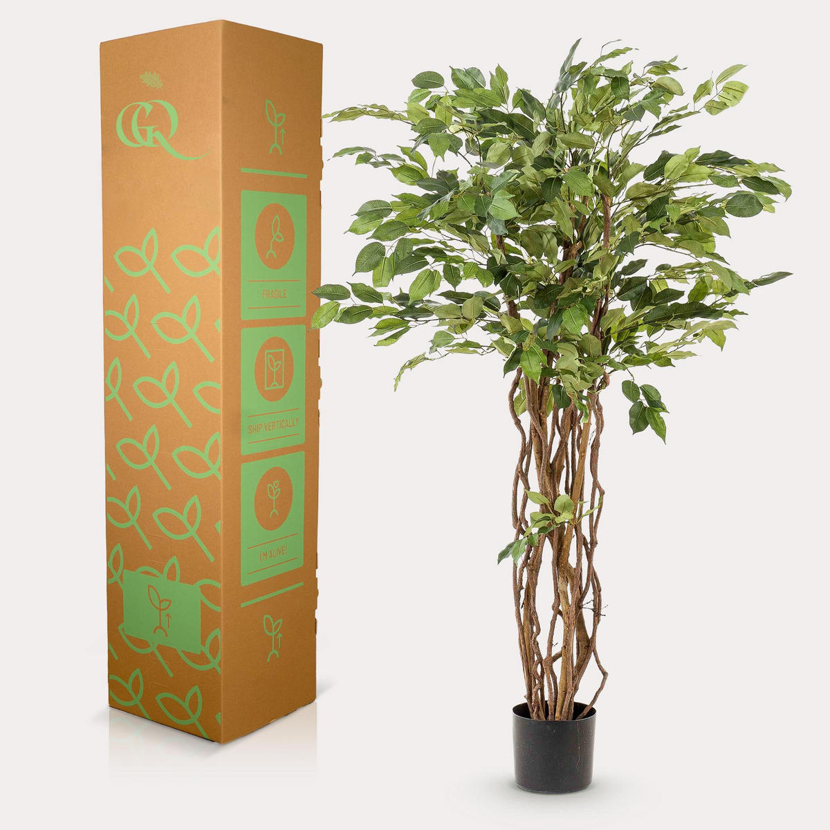 KUNSTPFLANZE Ficus Liana Geigenblattpflanze 140cm - Grün, Kunststoff (140cm) - Green boutiQ