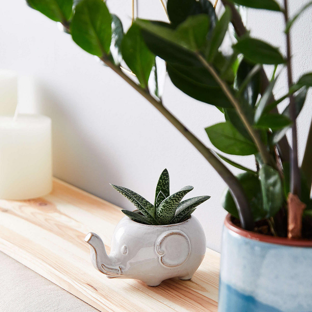 BLUMENÜBERTOPF (2er Set) Jungle - Beige, Keramik (8cm) - Butlers