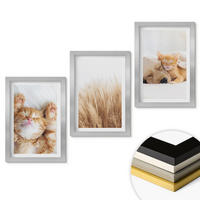 WANDBILDER 3er Set - 20x30 cm Silberner Rahmen - Niedliche Tiere, Katzen, Hunde, Boho-Stil - Silberfarben, Kunststoff (20/30cm) - ArtPrintCave