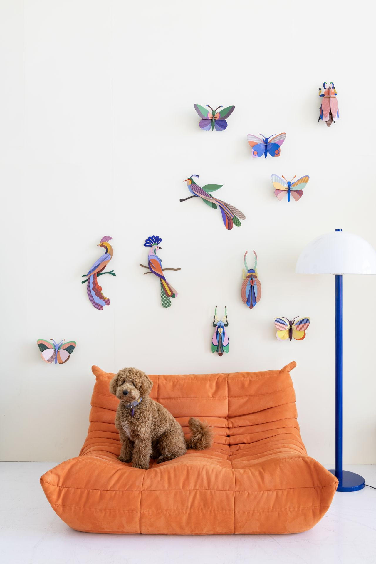 WANDDEKO Moderner Falter 7.5/16 cm - Multicolor, Wellpappe (7.5/16/23cm) - KUNSTLOFT