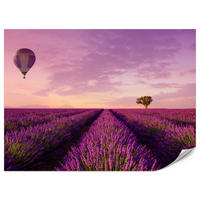 FOTOTAPETE für Wohnzimmer Lavendelfeld Heißluftballon Provence 250x175 - Violett/Lila, Papier (250/175cm) - Muralo