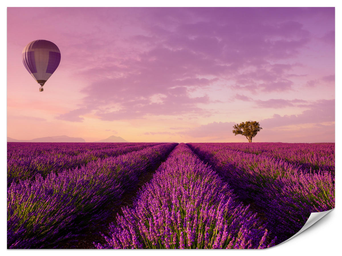 FOTOTAPETE für Wohnzimmer Lavendelfeld Heißluftballon Provence 250x175 - Violett/Lila, Papier (250/175cm) - Muralo