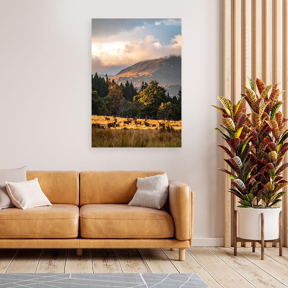 LEINWANDBILD Landschaft Blick Hirsche auf der Brunft 80x120cm - Beige, Textil (80/120cm) - Feeby