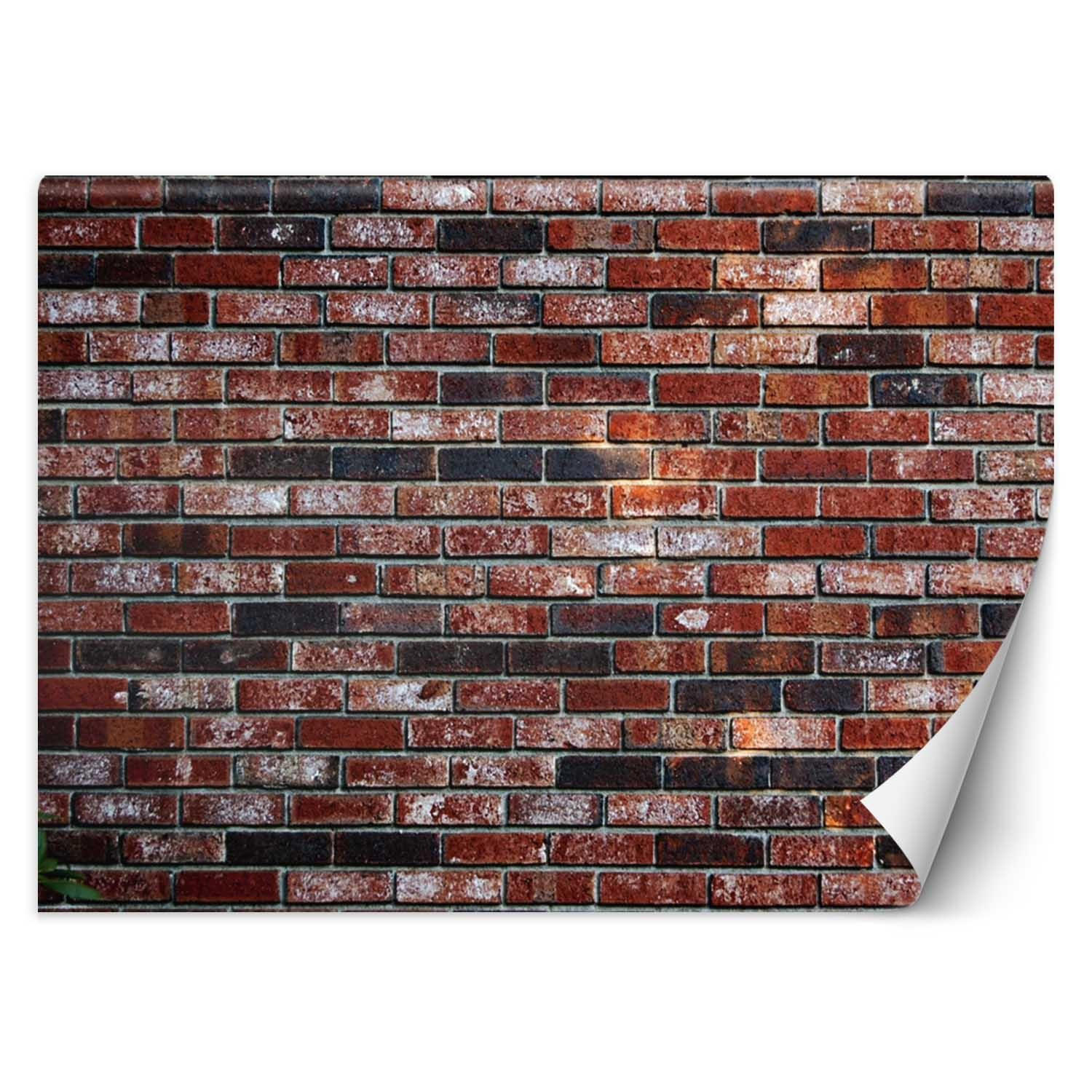 VLIESTAPETE Rot 150/105 cm - Rot, Textil (150/1cm) - KUNSTLOFT