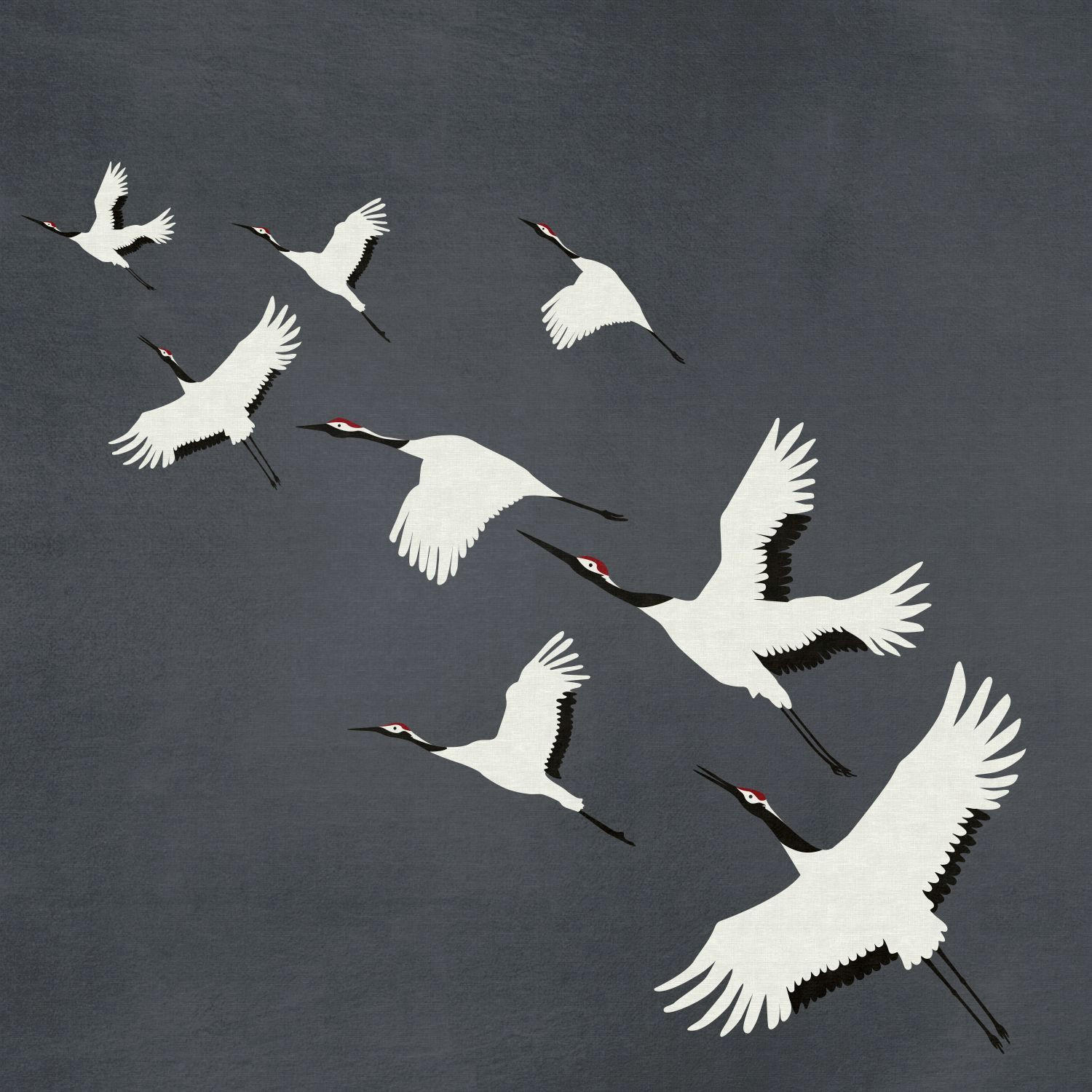FOTOTAPETE Kraniche 300 x 300 cm - Grau, Papier (300/300cm) - Origin Wallcoverings