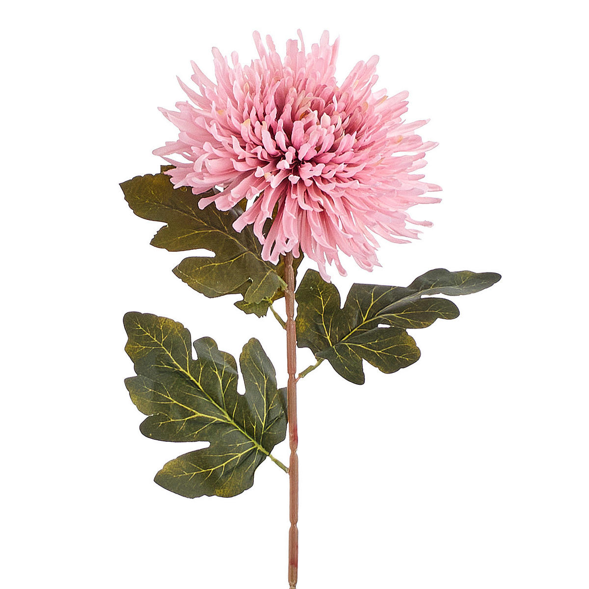 BUTLERS Kunstblume FLORISTA Chrysantheme - Pink, Kunststoff (73cm) - Butlers