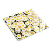 GLASPLATTE 60x52 cm Gänseblümchen - Gelb, Glas (60/0.4/52cm) - TULUP